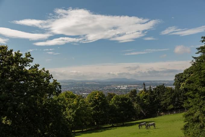 Edinburgh Zoo