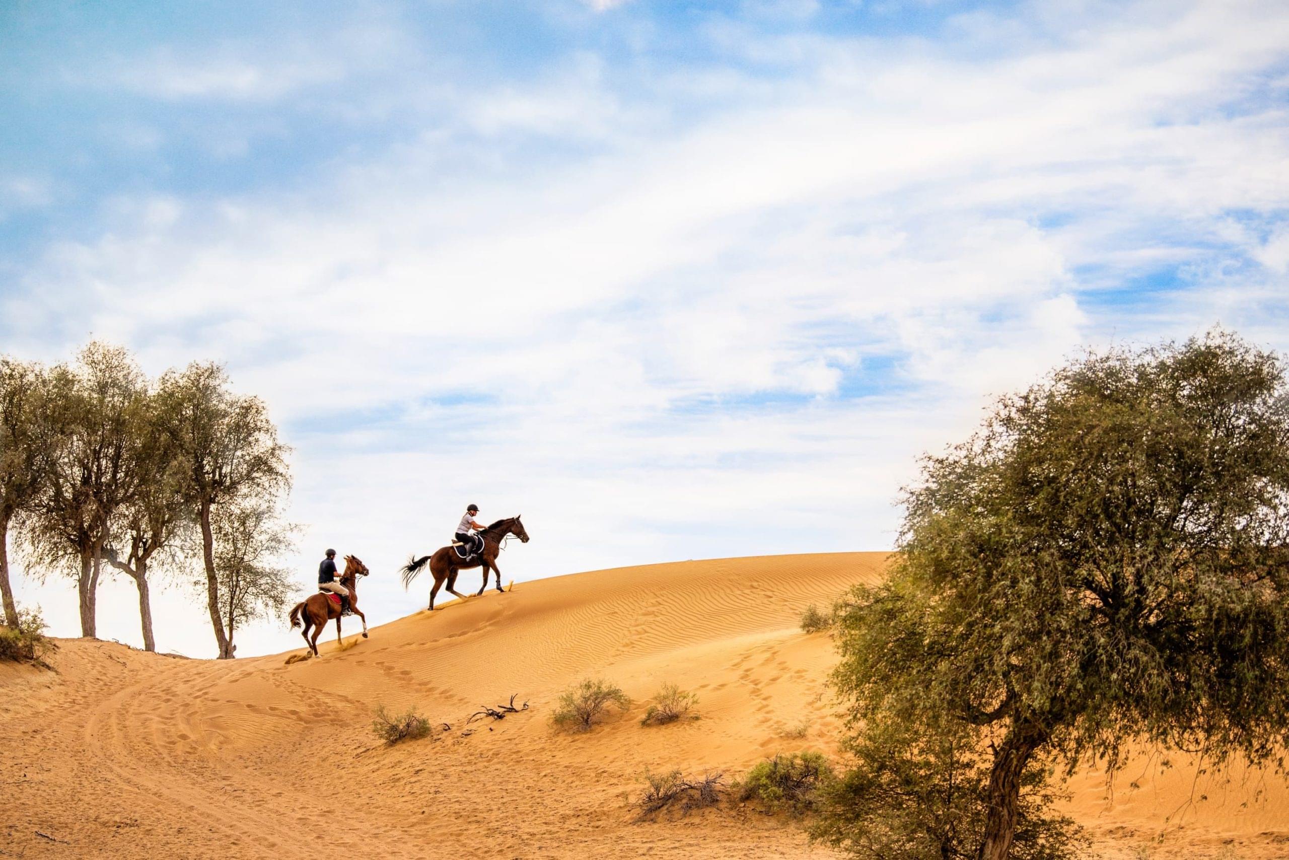 Al Wadi Equestrian Adventure Centre Overview