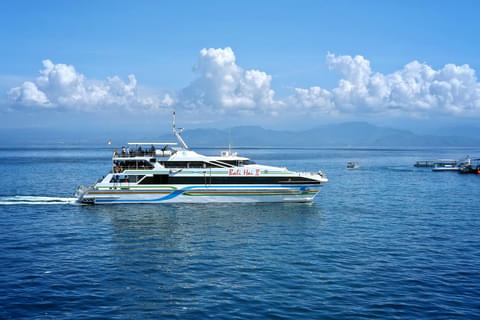 Activity & SightSeeing Image