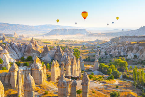 Activity & SightSeeing Image