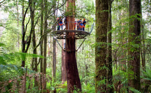 Eio7h2gaxai8shtfsti7hr1j8fqr 1572856545 otway3.jpg