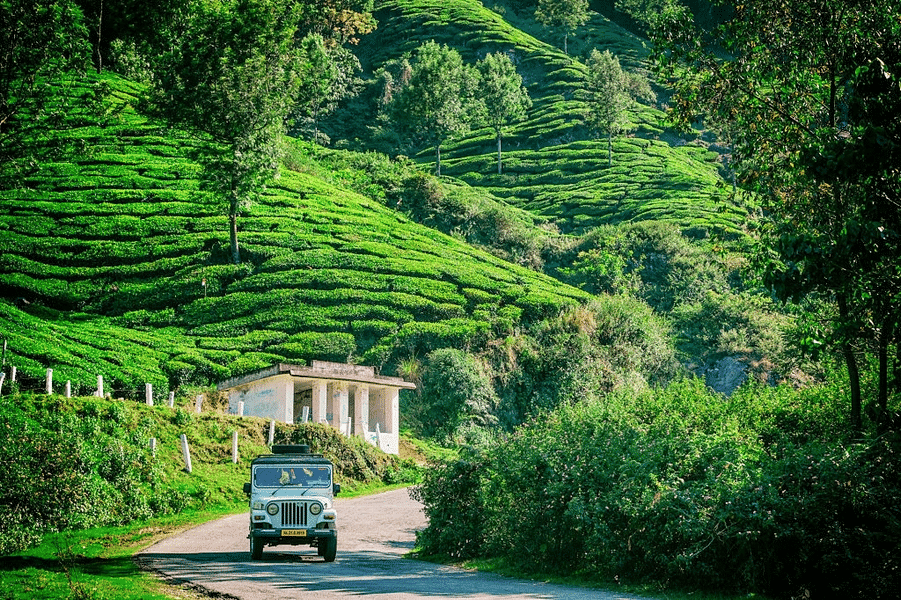 Munnar Thekkady Tour Package from Cochin Image