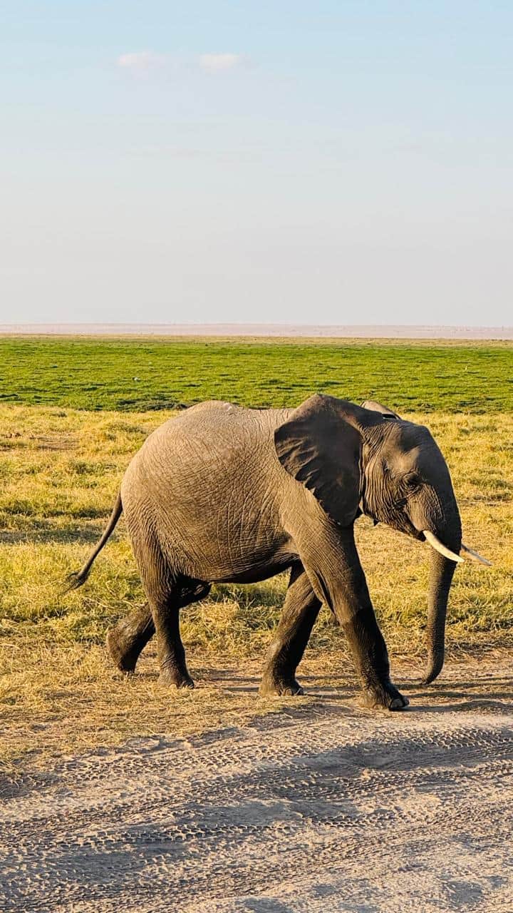 Photo from Ashit Shah's trip