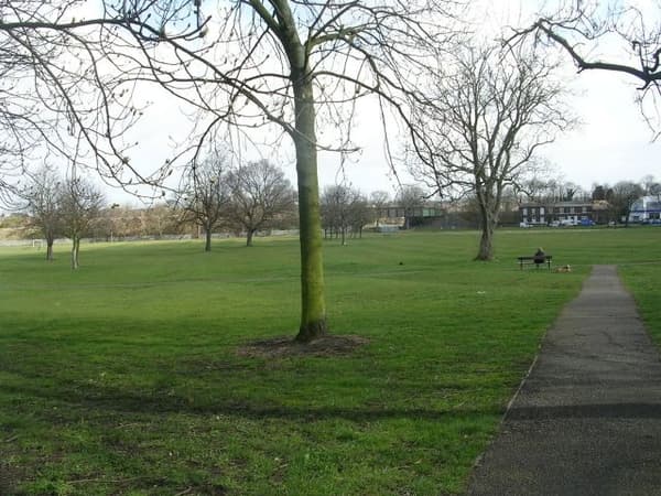 Castle Grove Park