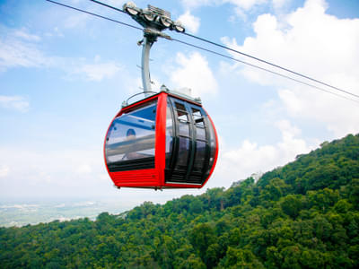 Take in the gorgeous views of the lush green surroundings from your cable car
