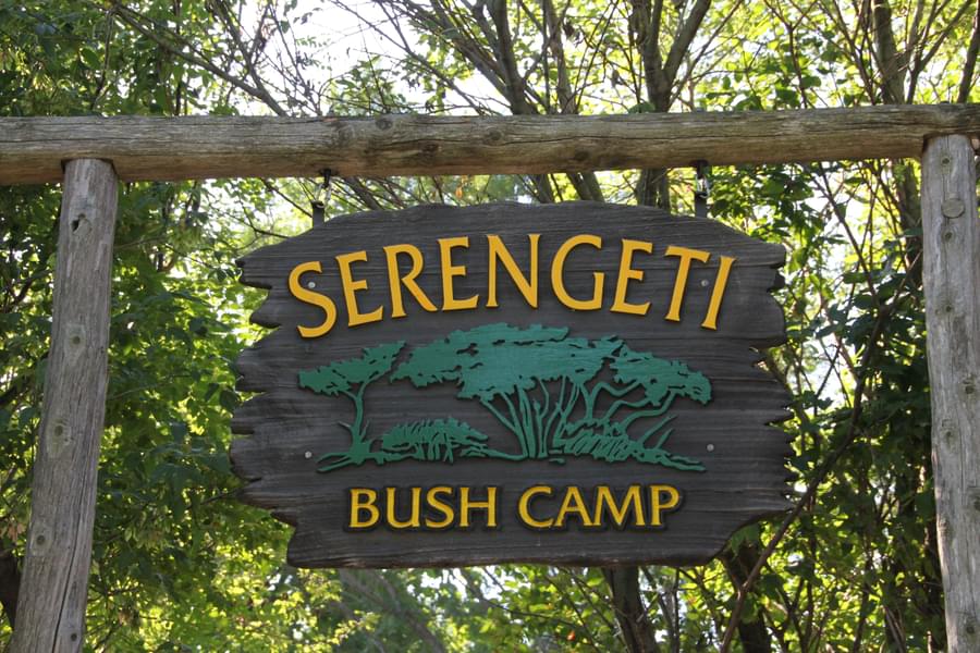 Serengeti Bush Camp
