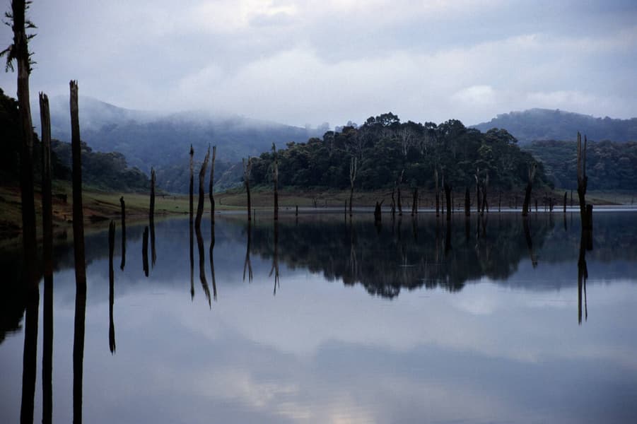 Munnar to Thekkady Sightseeing Tour Image