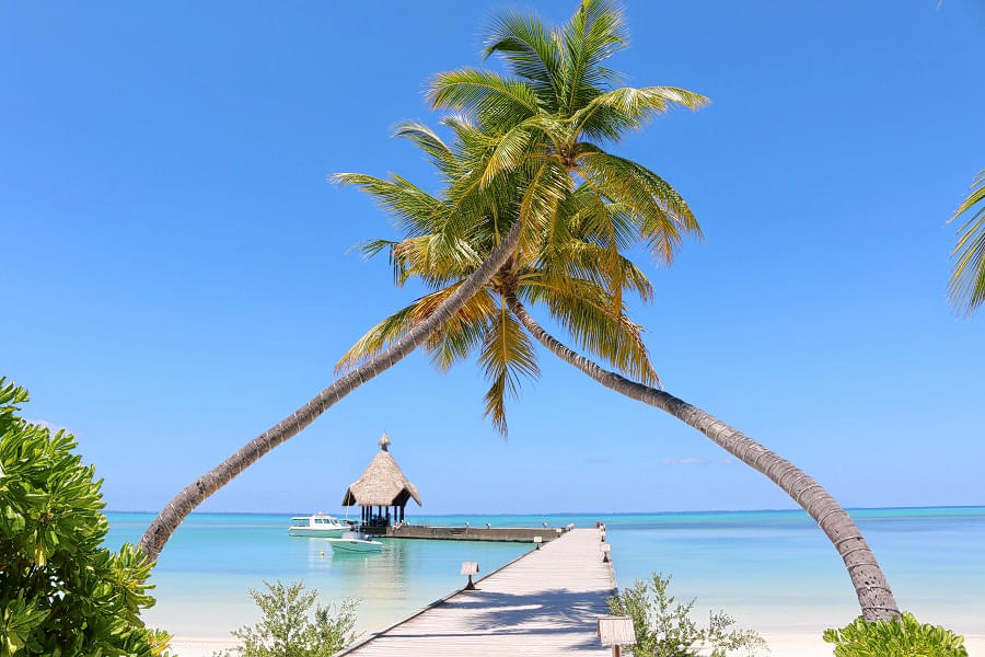 Canareef Resort Maldives Image