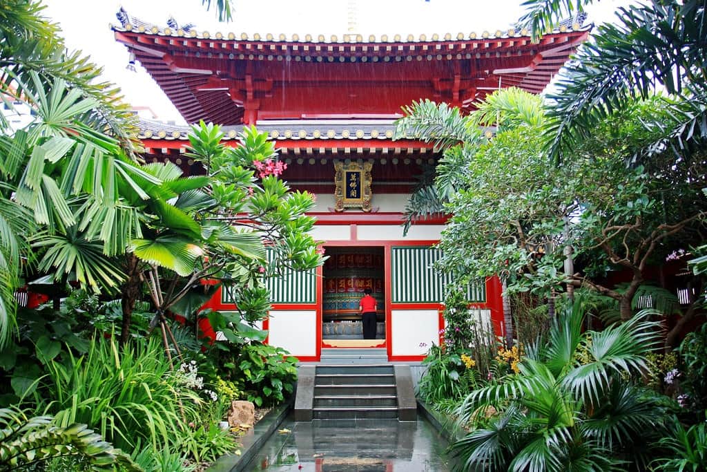 Spend Tranquil Moments at the Roof Garden
