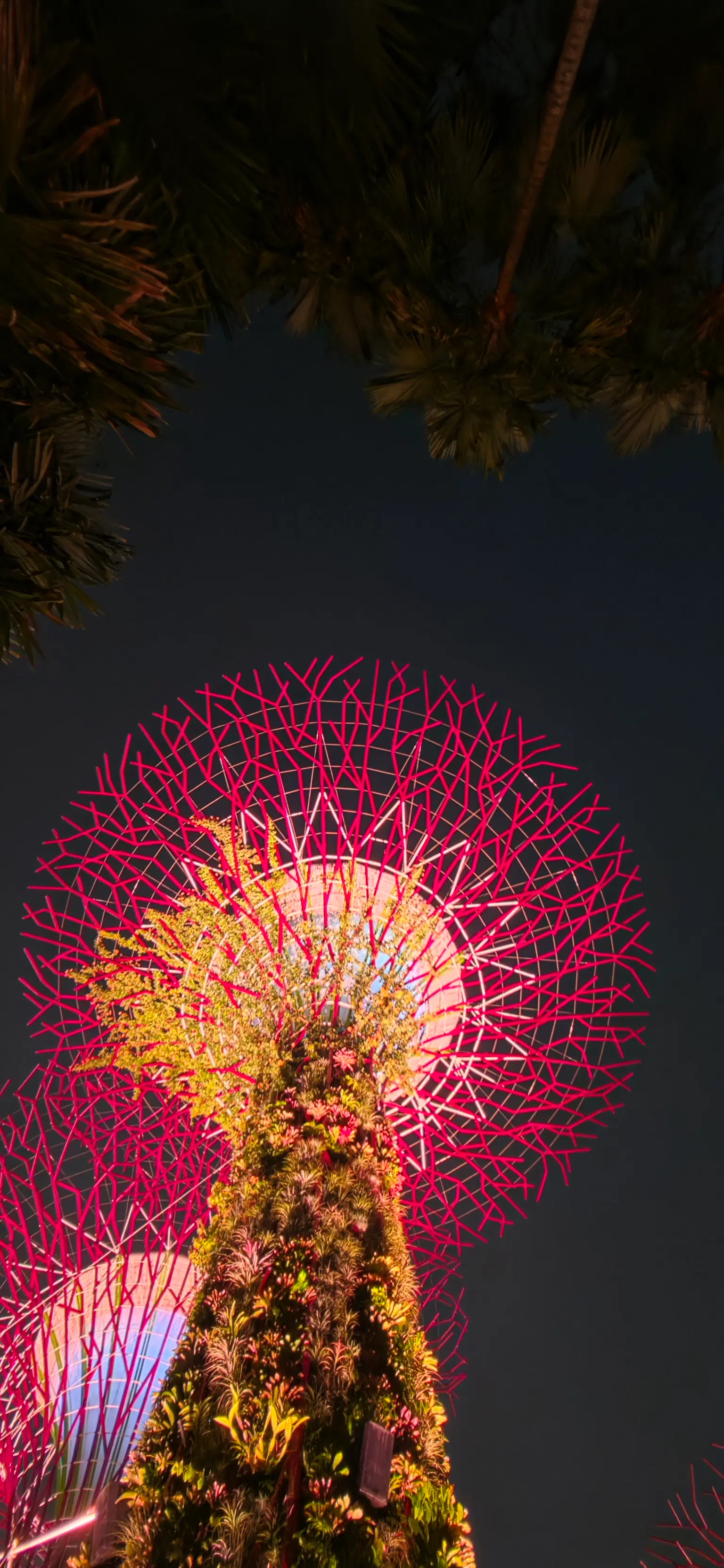 Photo from Kartik Sethi's trip