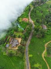 Ekxaysyk7axp5ii9z17hzquiec9d shutterstock 2382340241