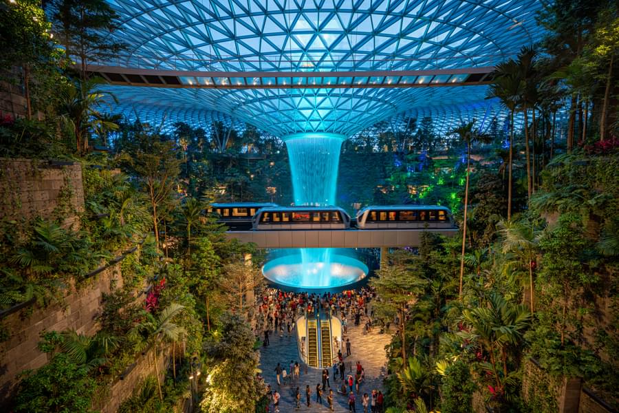 See the Lights at Jurassic Mile and Changi Airport Connector