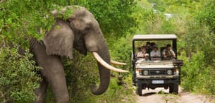 Nagarhole National Park Safari Tickets