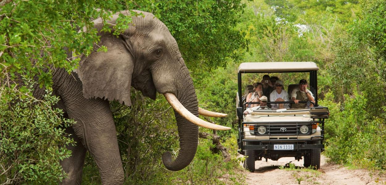 Nagarhole National Park Safari Tickets  Image
