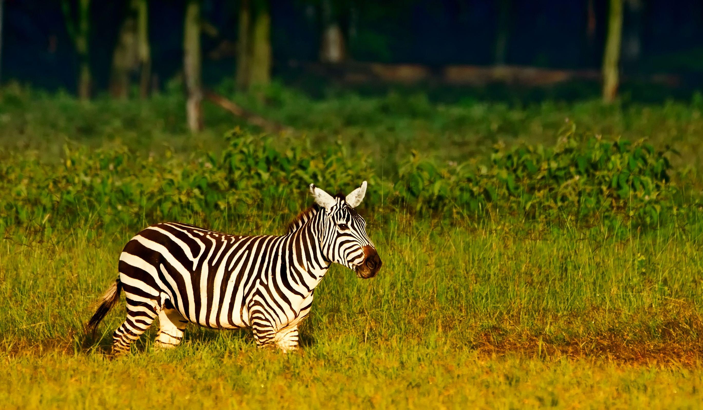 Lake Nakuru National Park