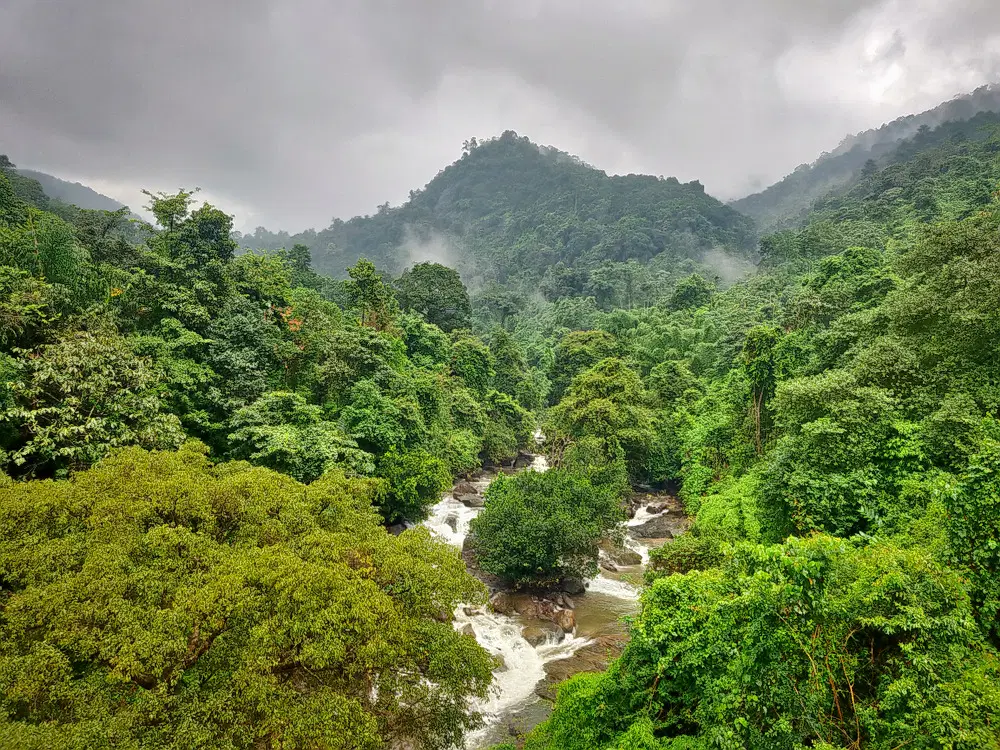 Thusharagiri Fall