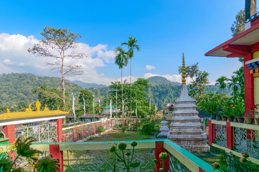 Dooars Tour Package From NJP Image