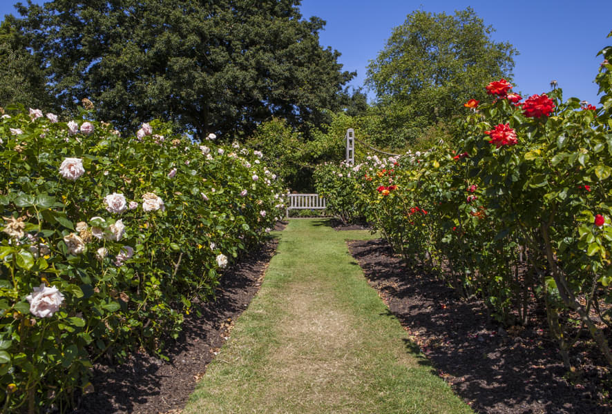 Queen Mary's Rose Garden