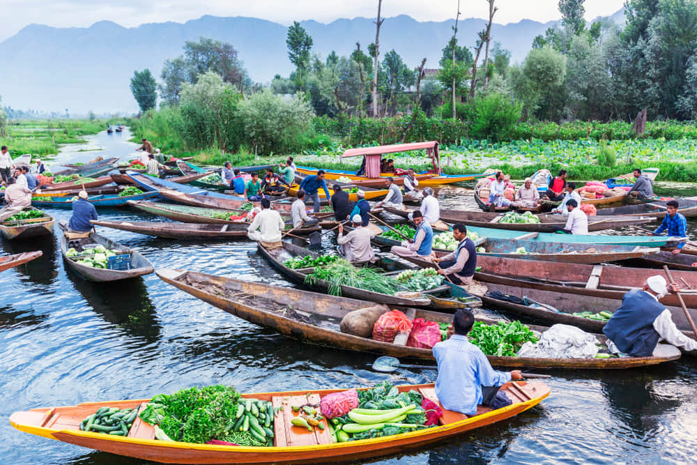 Shop at the floating markets