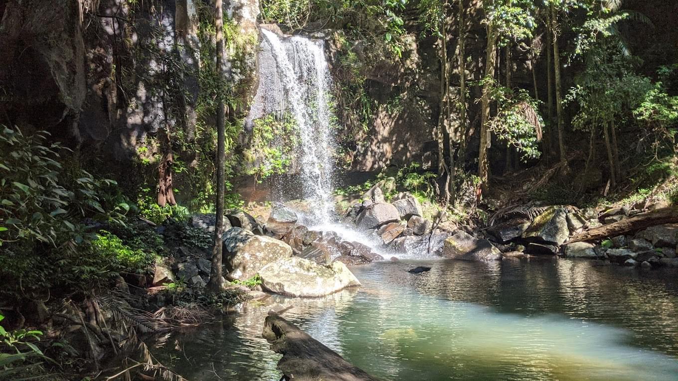 Tamborine National Park Overview