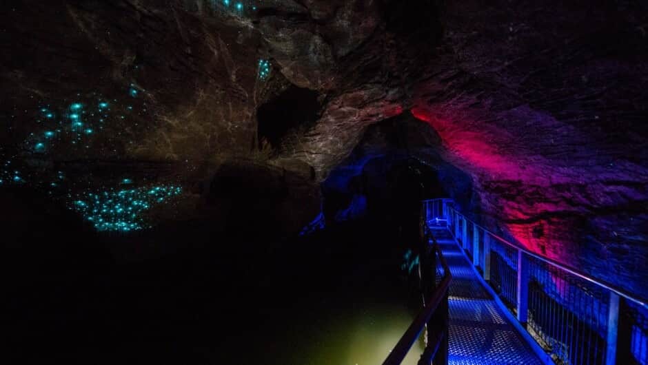 Visit the Ruakuri cave