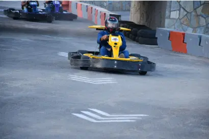 Zoom into Go Karting
