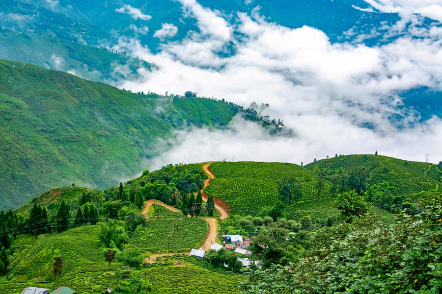 Sikkim Tour Package From NJP Image