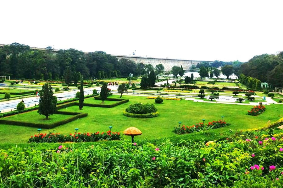 Day Trip to Mysore with Lalbagh Botanical Garden Image
