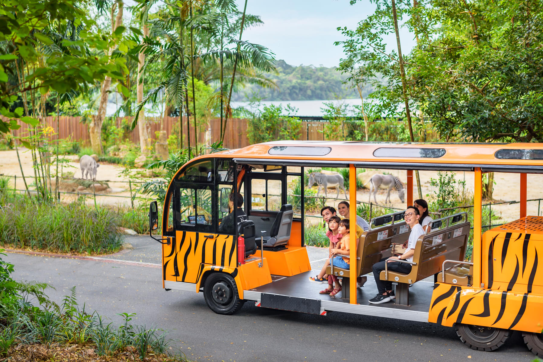 Embark on a picturesque tram journey to explore the beauty of the park.