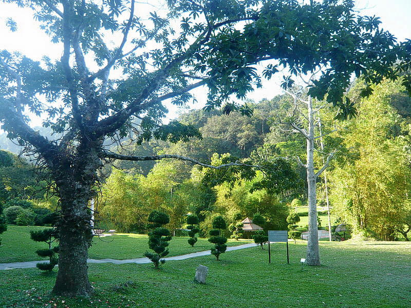 Penang Botanic Garden Overview