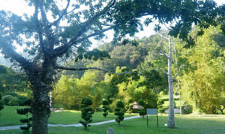 Penang Botanic Garden