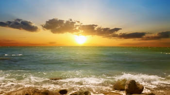 Enk4lu69jkure7j2gfvayeehmzuw 1576218577 3564