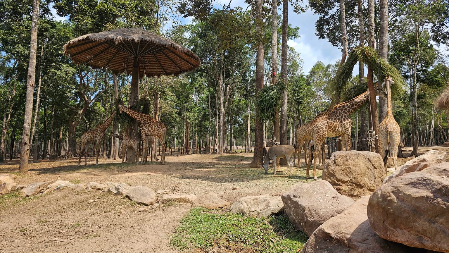 Photo from Tanmay Prabhulkar's trip