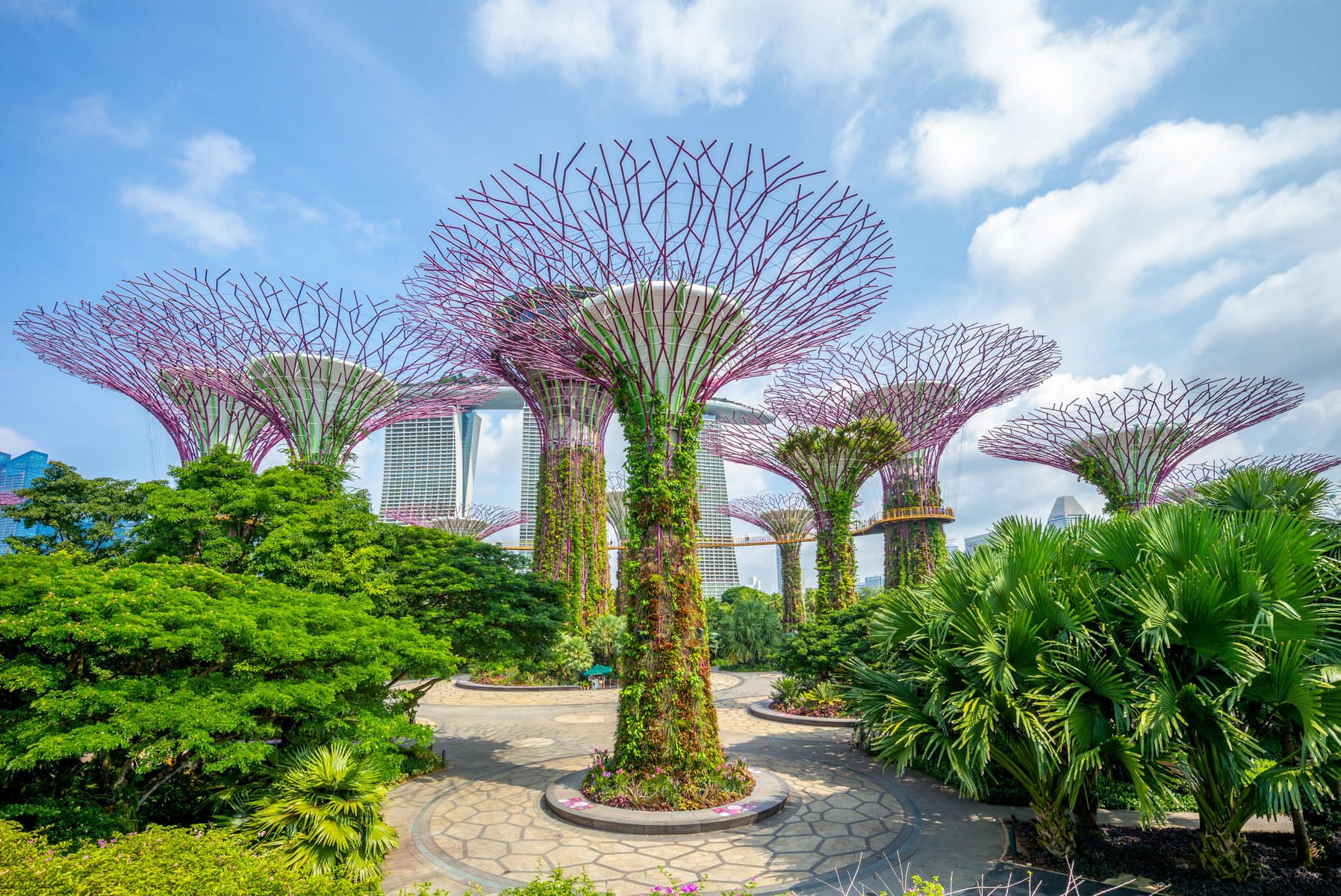 Explore the enchanting Gardens by the Bay
