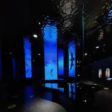 La Cite de la Mer Tickets, Cherbourg-en-Cotentin