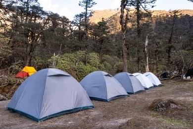 Enjoy Campsite Amid Alpine Meadow