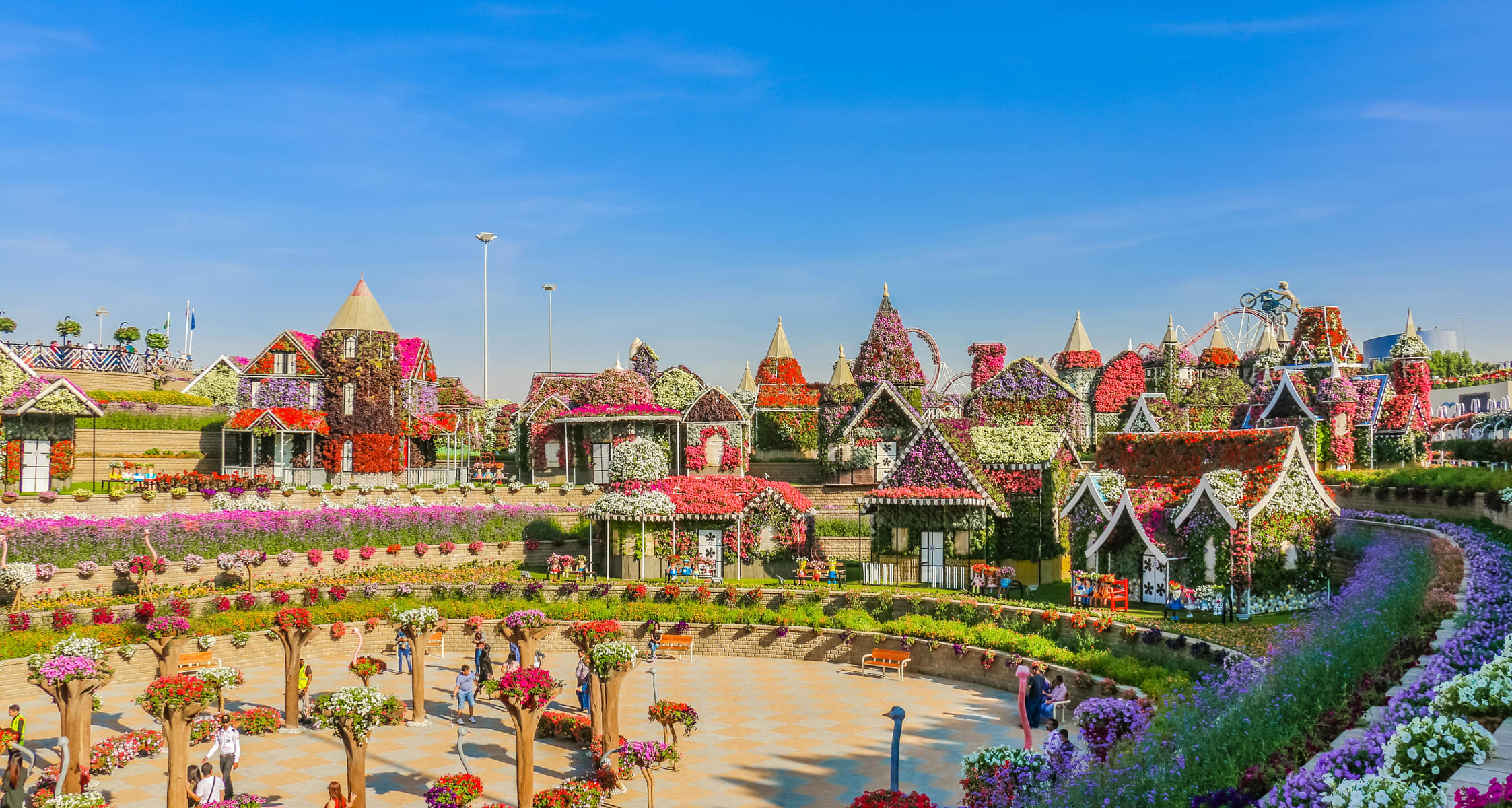 Take-in the scenic beauty of the magnificent Dubai Miracle Garden