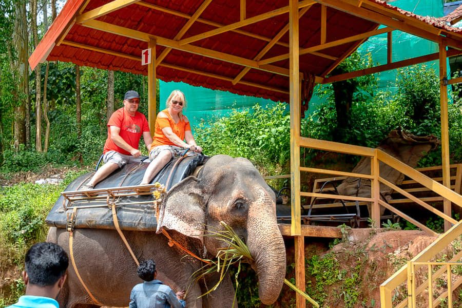 Munnar Tour Package From Bangalore Image