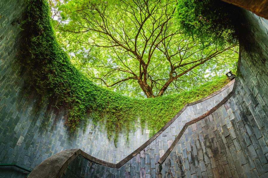 Explore Fort Canning Park