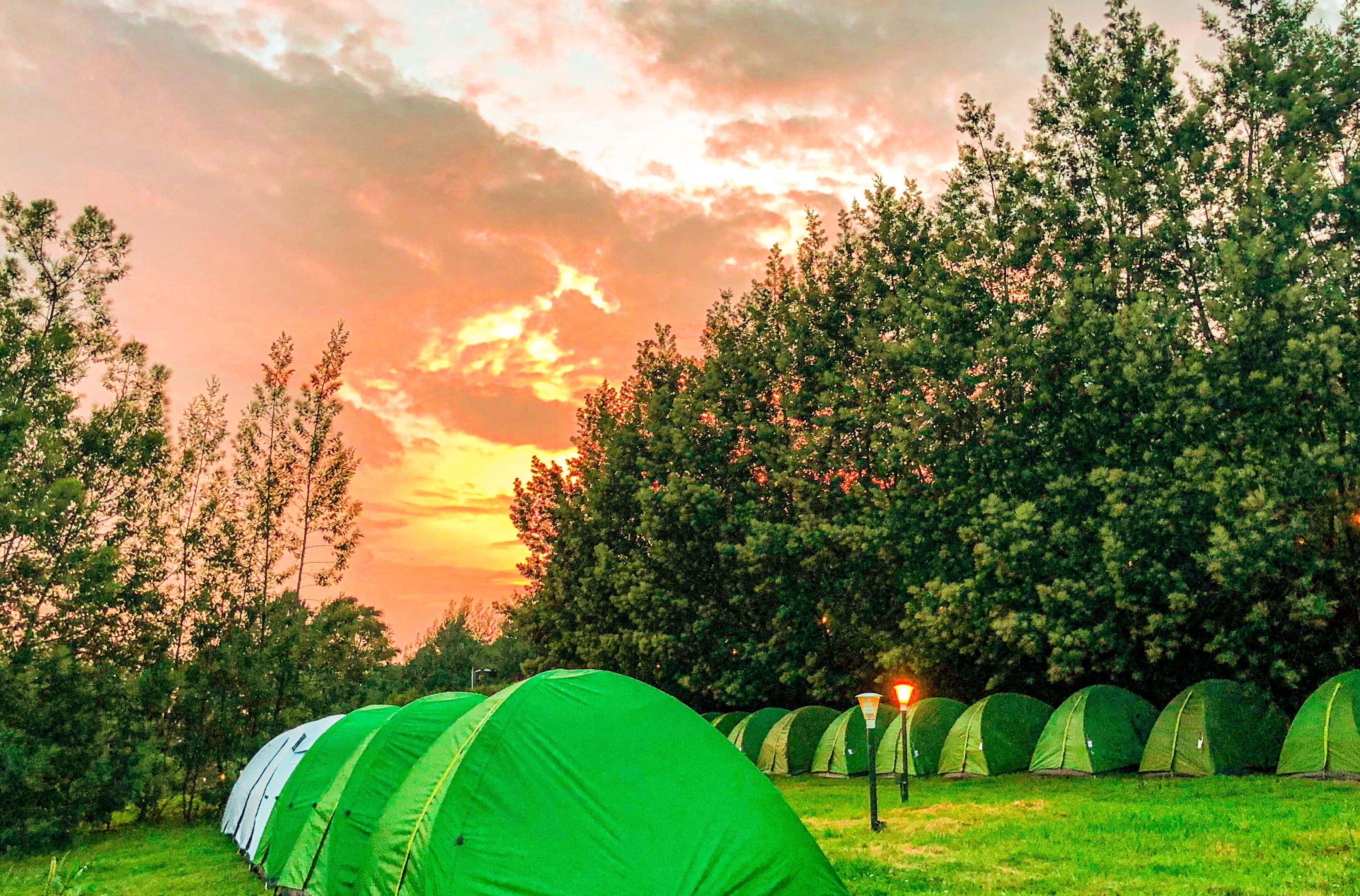 Peaceful camping experience in Ooty