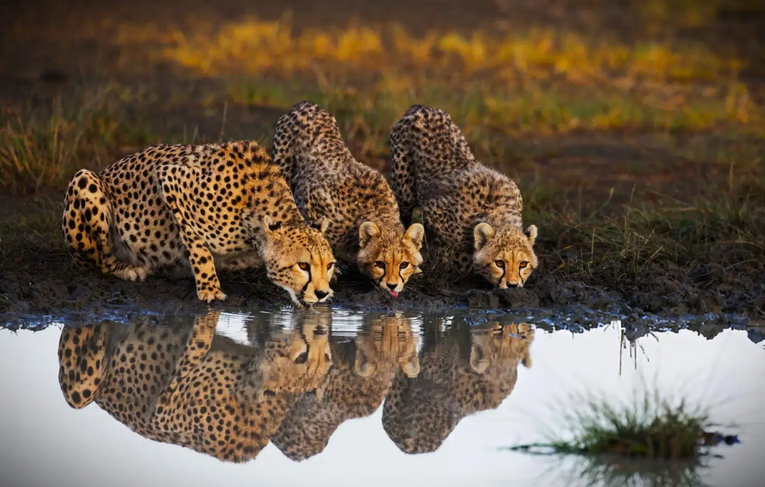 Kenya Highlights | Adventure in Heartland of Africa
