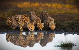 Er86rxw02dg9oijf5vmwshuwq4sk c9yv4f79790yxj8469jh4vm46ccu hjvsxnxcd