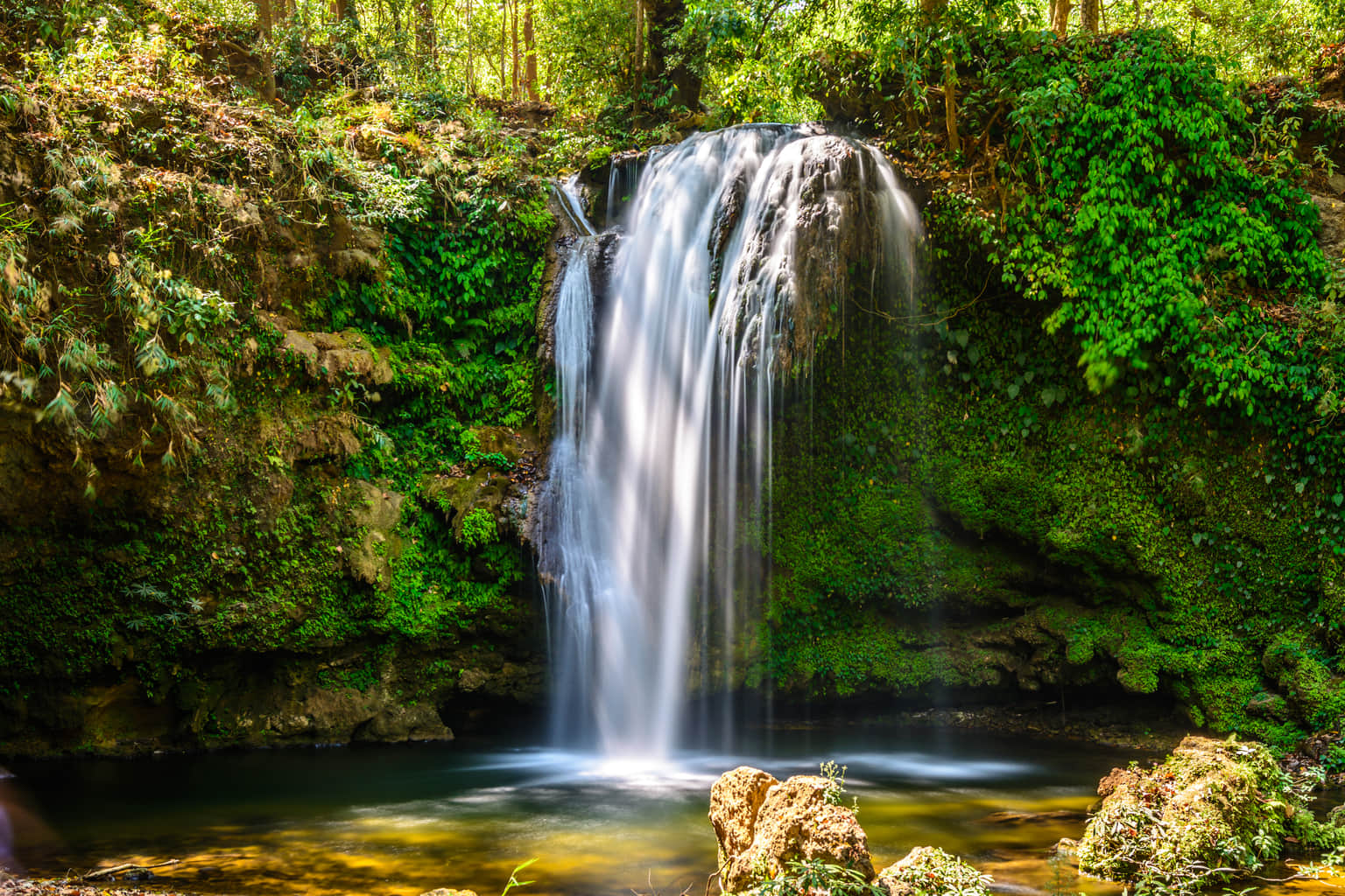 <em>Jim Corbett</em> Tour Packages From Vadodara 