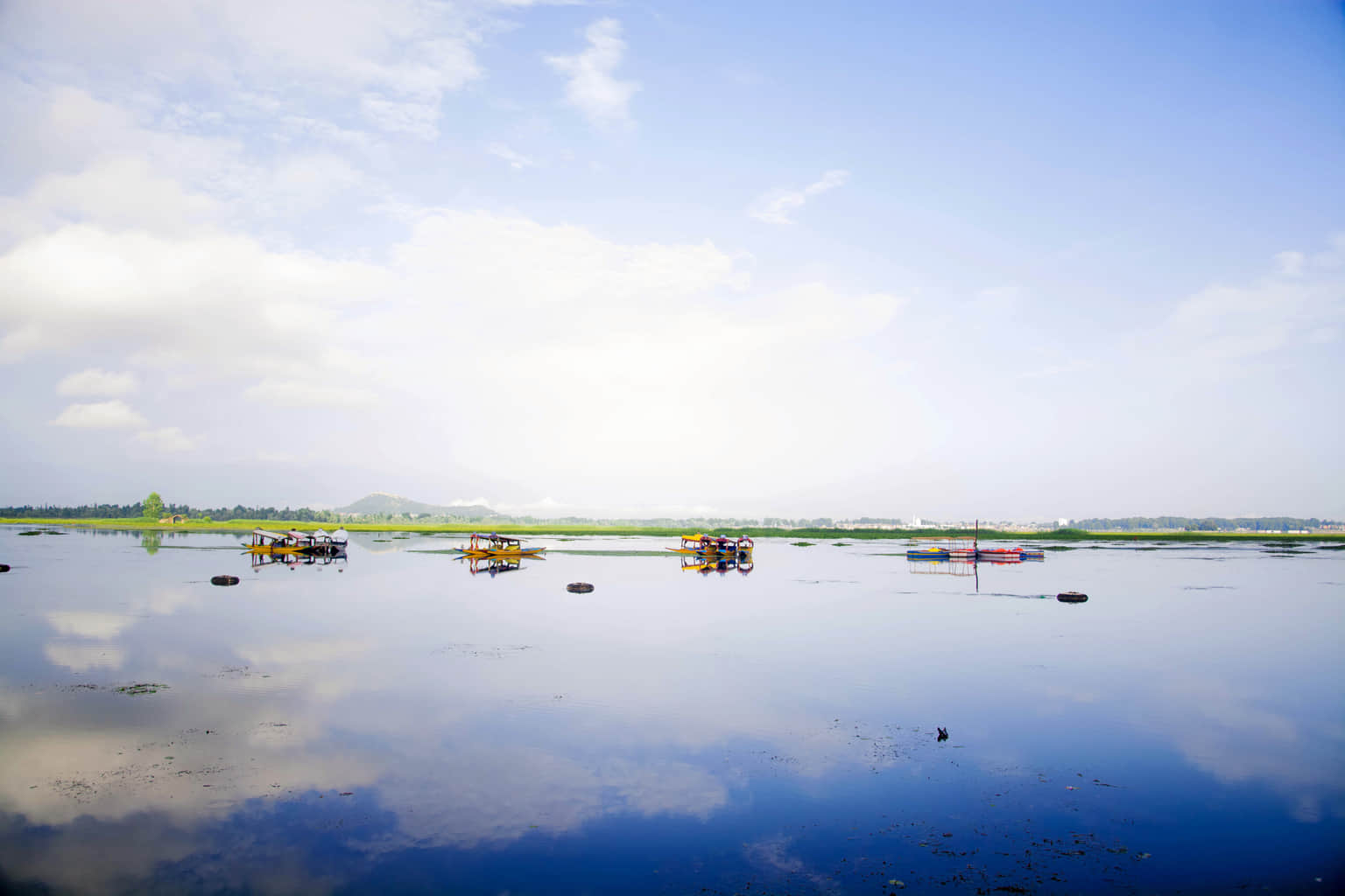 Photo from Shrikant Gai's trip