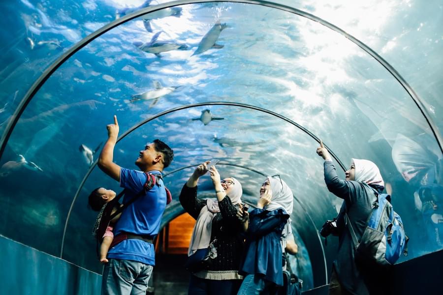 Visit Underwater World in Langkawi with your loved ones