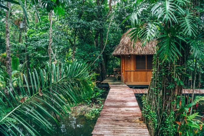 Daintree National Park