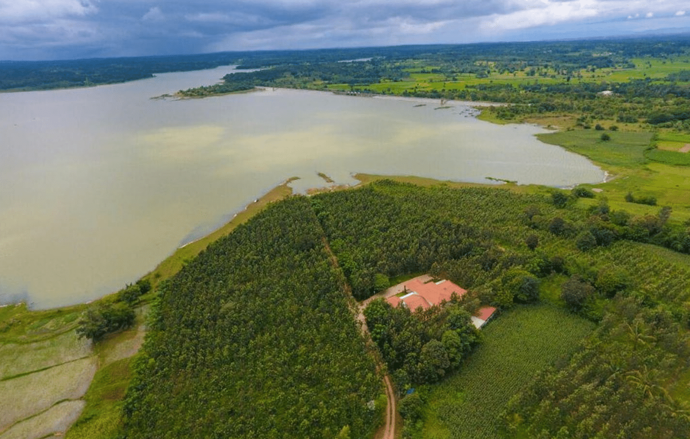 Eagle View of the Homestay