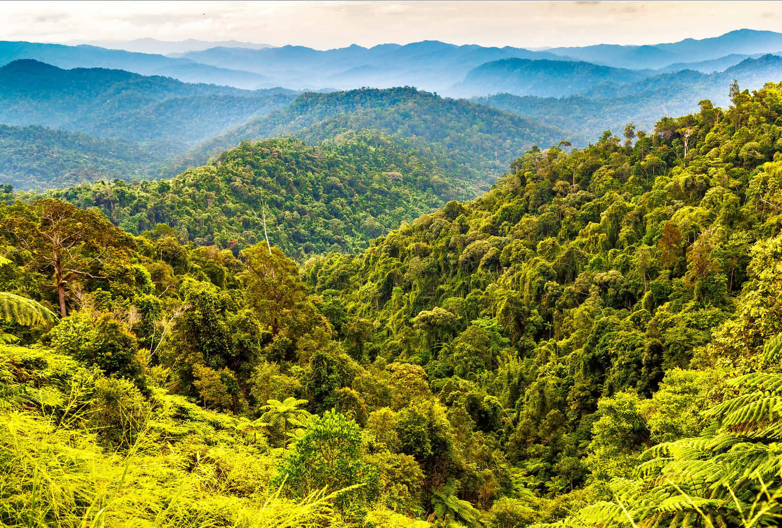 Royal Belum State Park One Day Trip Ipoh