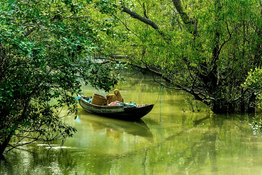 Sundarban tour from kolkata Image