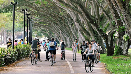 Cycling and Inline Skating